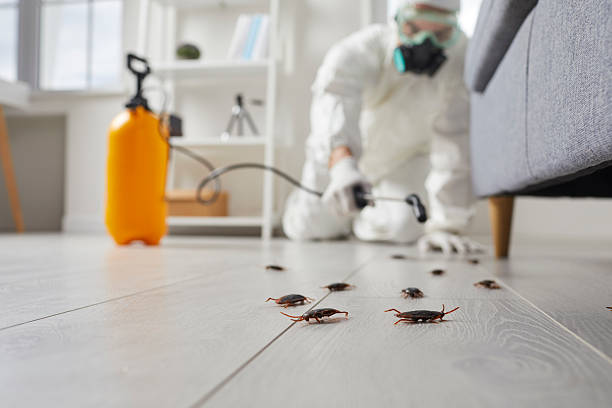 Post-Treatment Bed Bug Interceptor Monitoring in Heceta Beach