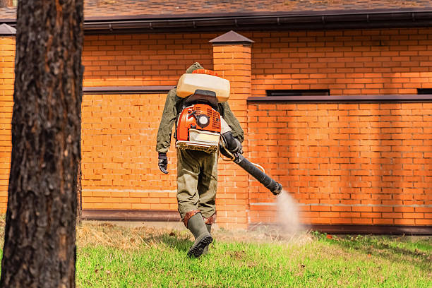 Bed Bug Clearance Verification and Documentation in Heceta Beach